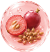 Grape Seed