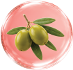 Ozonized Olive Oil